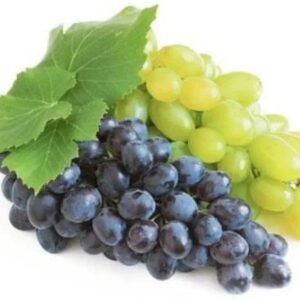 Grape