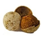 Wood Apple (Limonia Acidissima)